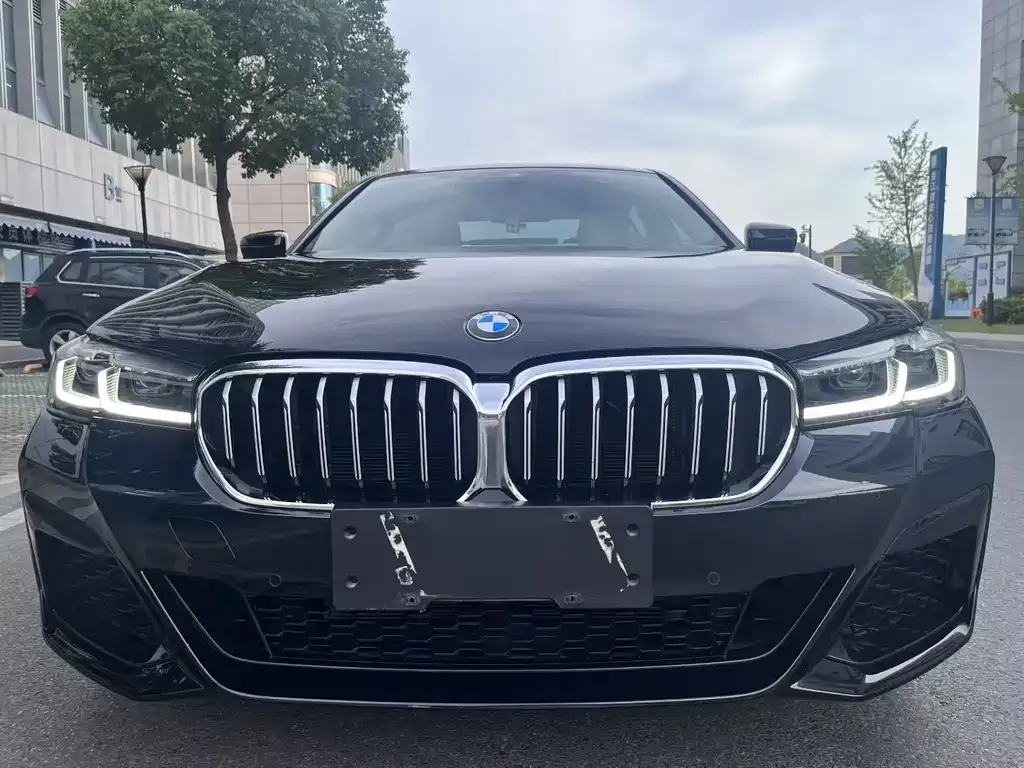 BMW 5 Series 2023 из CN, фото 2