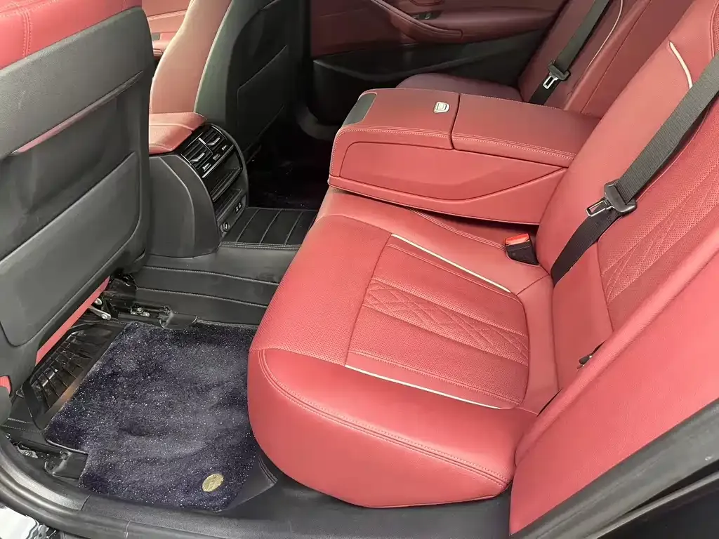 BMW 5 Series 2023 из CN, фото 6
