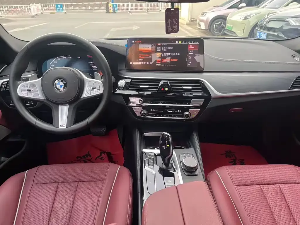 BMW 5 Series 2023 из CN, фото 7