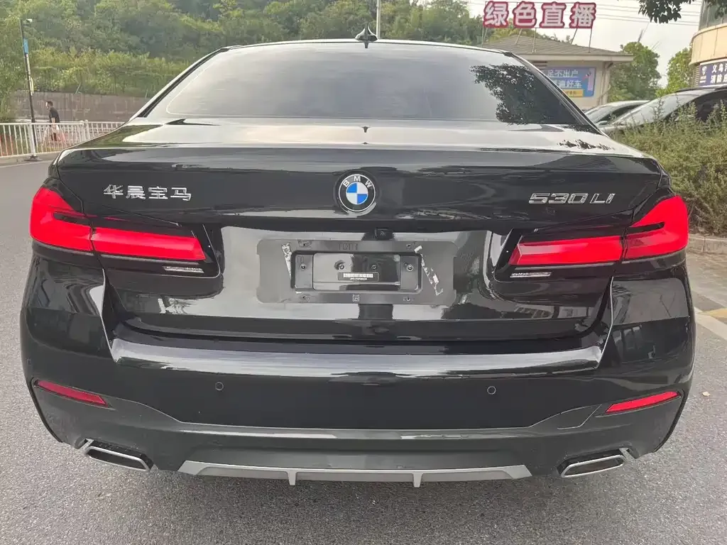 BMW 5 Series 2023 из CN, фото 8