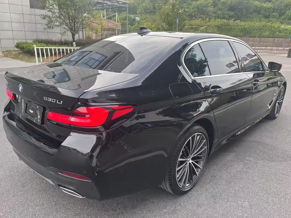 BMW 5 Series 2023 из CN, фото 9