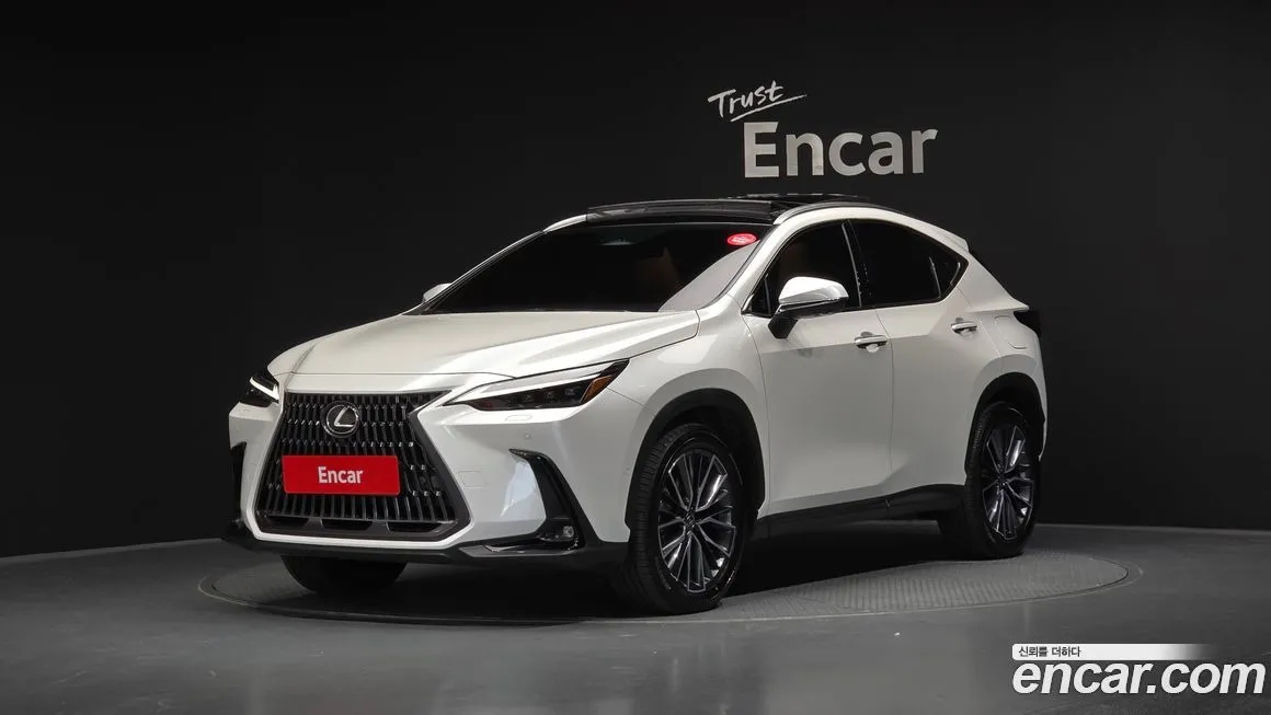 Lexus NX 2025 из KR, фото 1