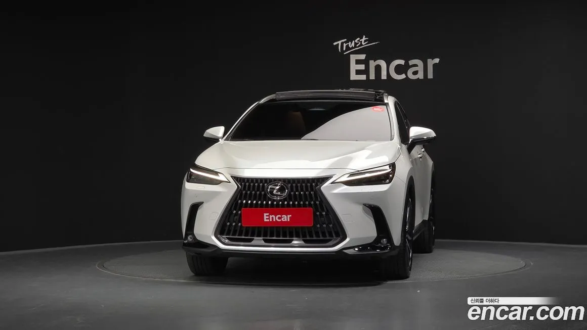 Lexus NX 2025 из KR, фото 3
