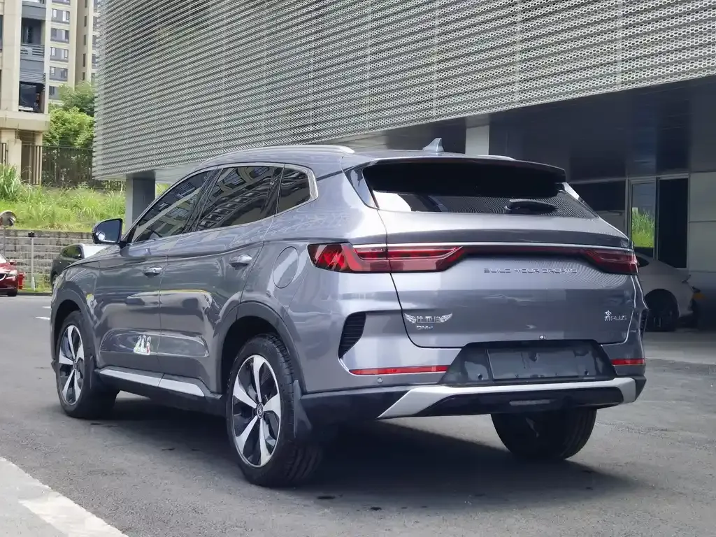 BYD PLUS New Energy 2023 из CN, фото 4