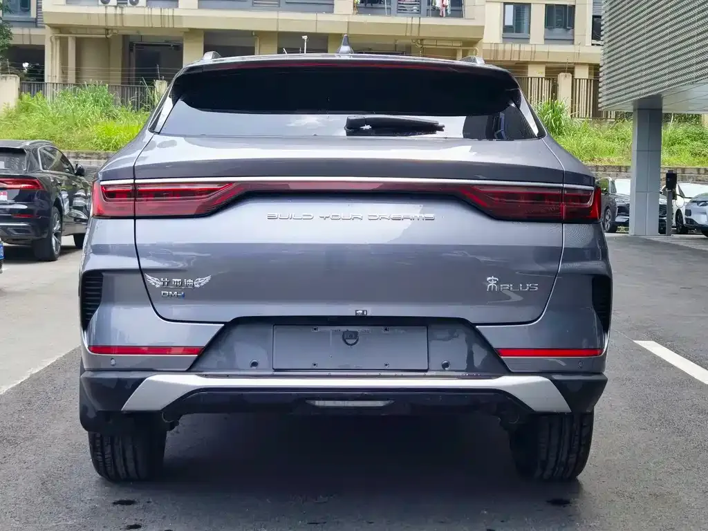 BYD PLUS New Energy 2023 из CN, фото 5