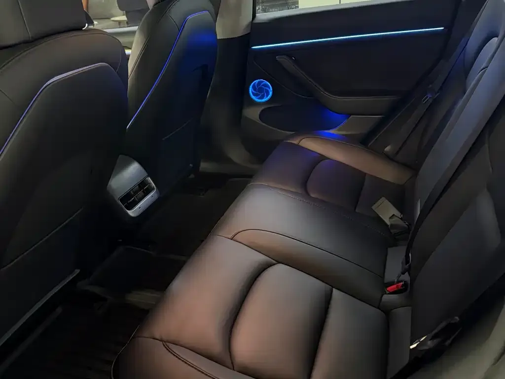 Tesla Model 3 2023 из CN, фото 10