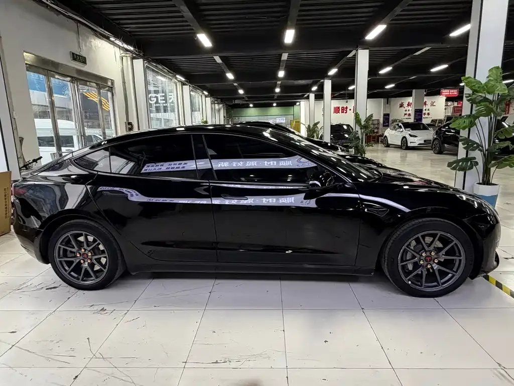 Tesla Model 3 2023 из CN, фото 2
