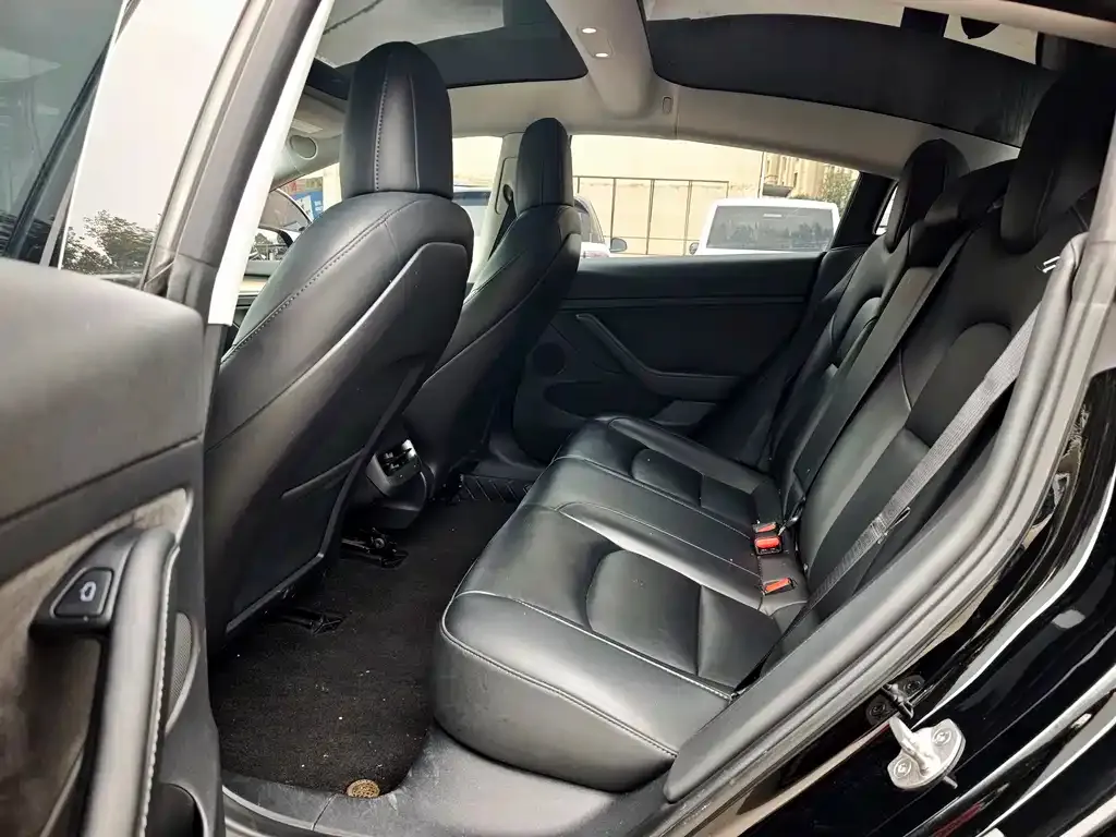 Tesla Model 3 2022 из CN, фото 5