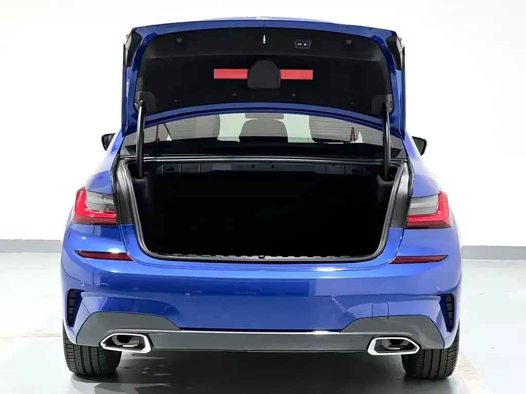 BMW 3 Series 2021 из CN, фото 7