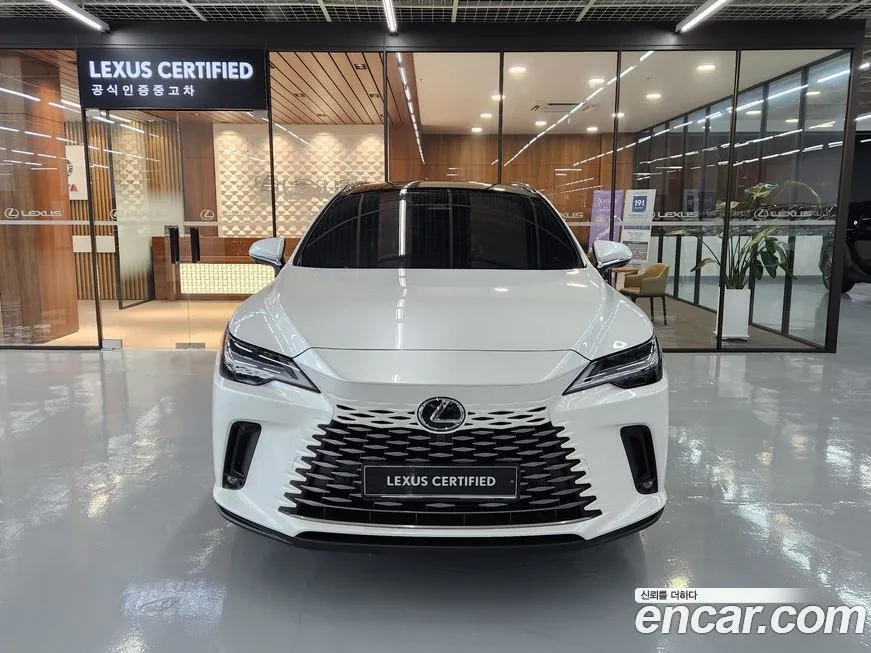 Lexus RX 2024 из KR, фото 3