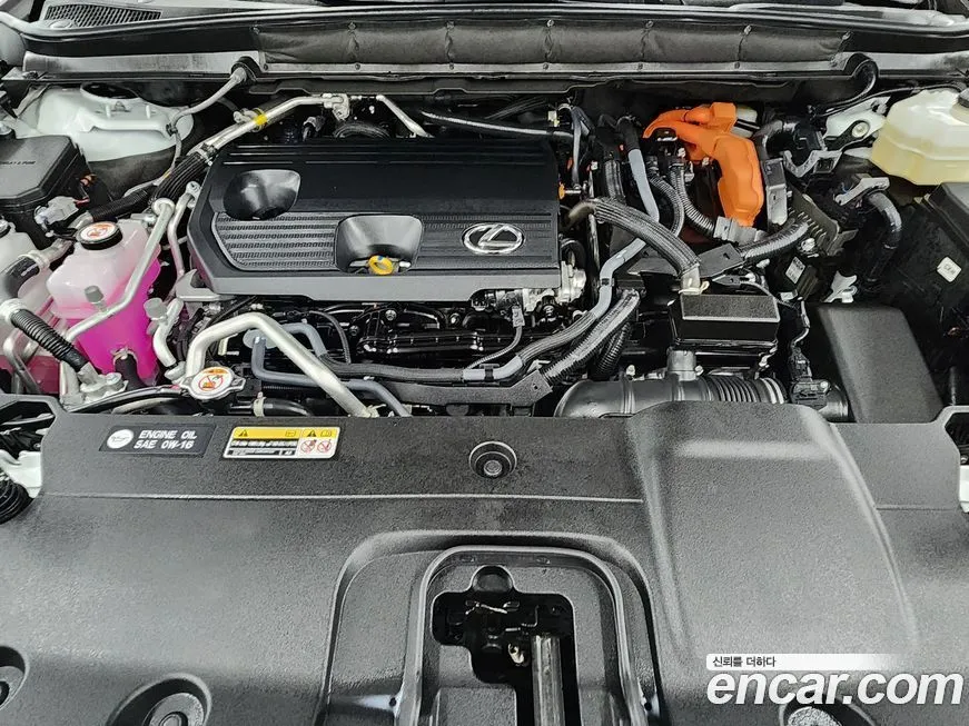 Lexus RX 2024 из KR, фото 9
