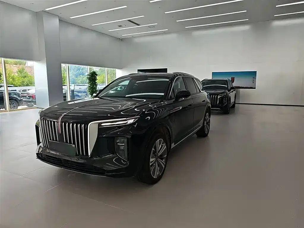 Hongqi E-HS9 2023 из CN, фото 1