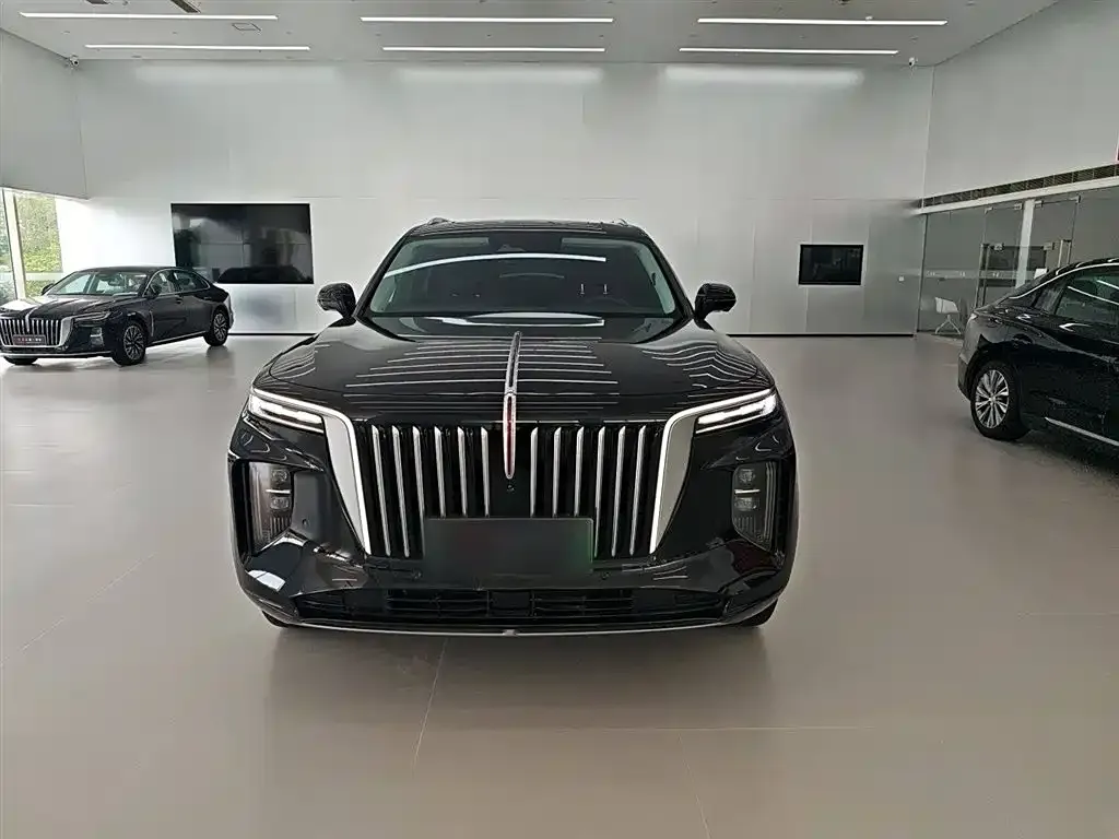 Hongqi E-HS9 2023 из CN, фото 3
