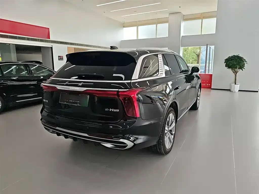 Hongqi E-HS9 2023 из CN, фото 5