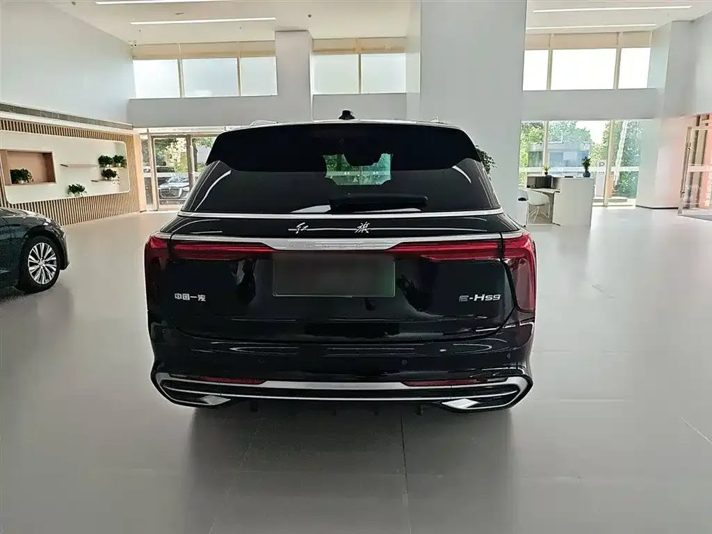 Hongqi E-HS9 2023 из CN, фото 6