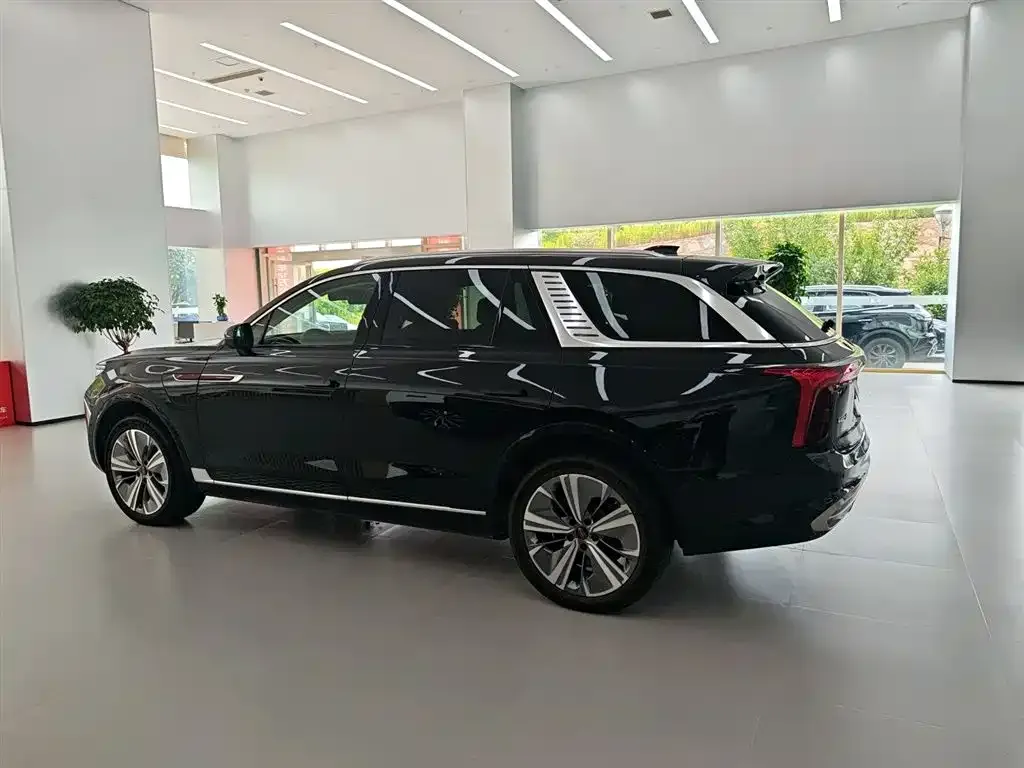 Hongqi E-HS9 2023 из CN, фото 7