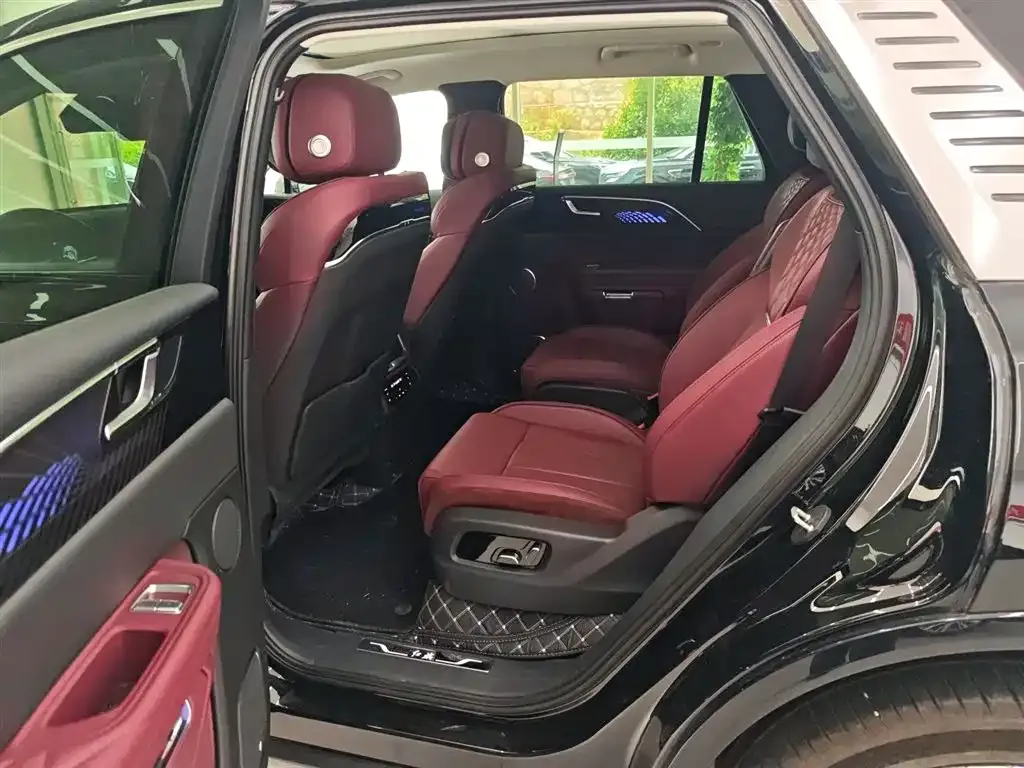 Hongqi E-HS9 2023 из CN, фото 8