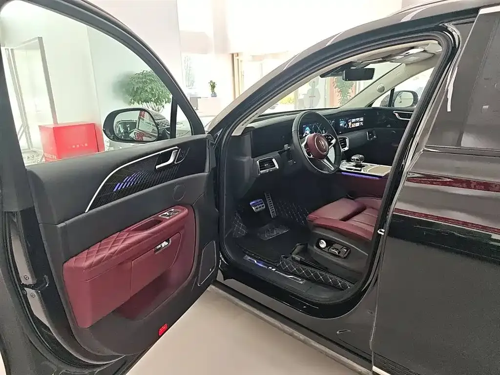 Hongqi E-HS9 2023 из CN, фото 9