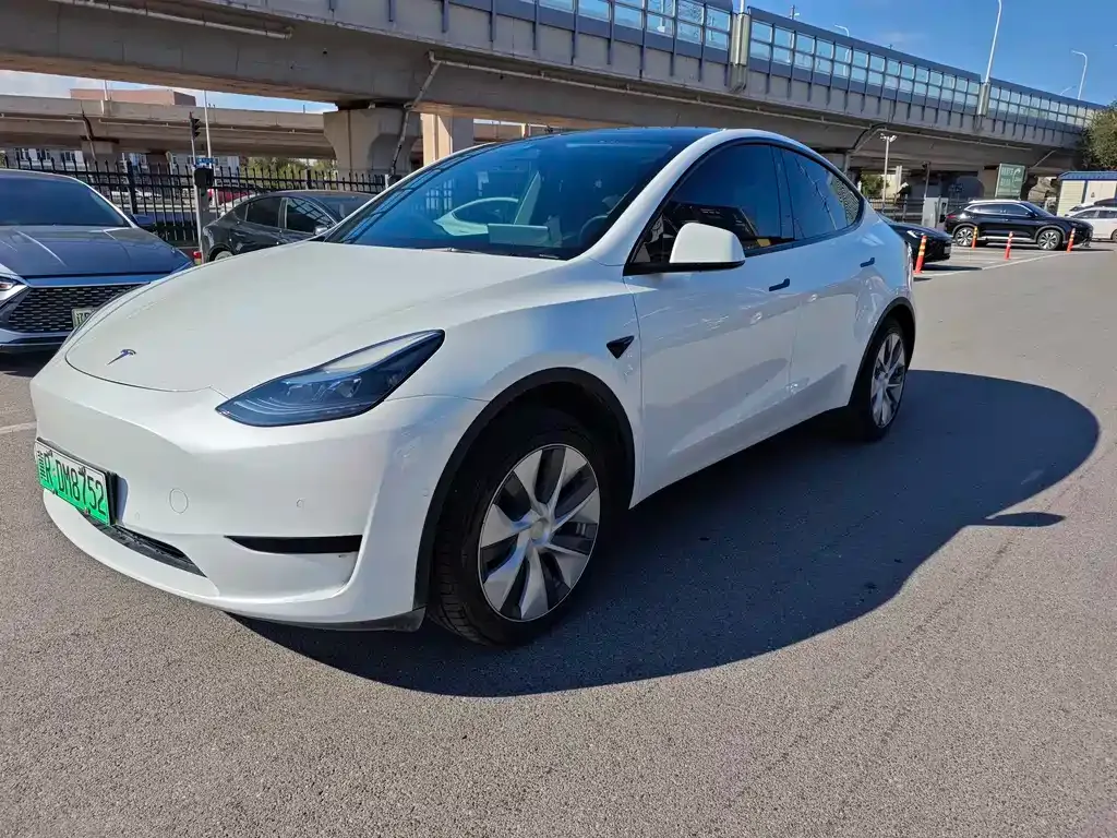 Tesla Model Y 2023 из CN, фото 1