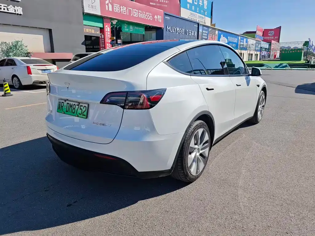 Tesla Model Y 2023 из CN, фото 6