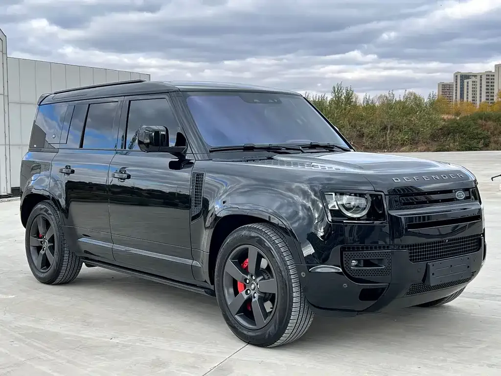 Land Rover Defender 2024 из CN, фото 3