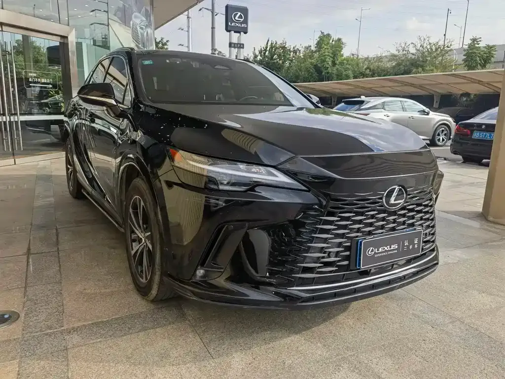 Lexus RX 2023 из CN, фото 3