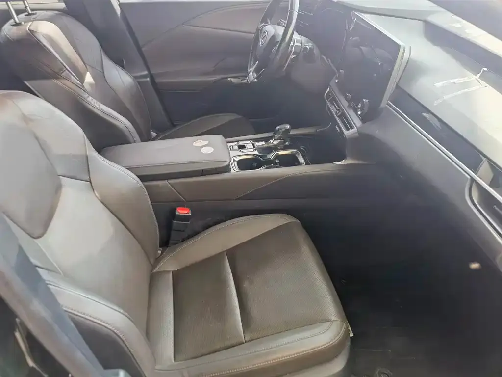 Lexus RX 2023 из CN, фото 8