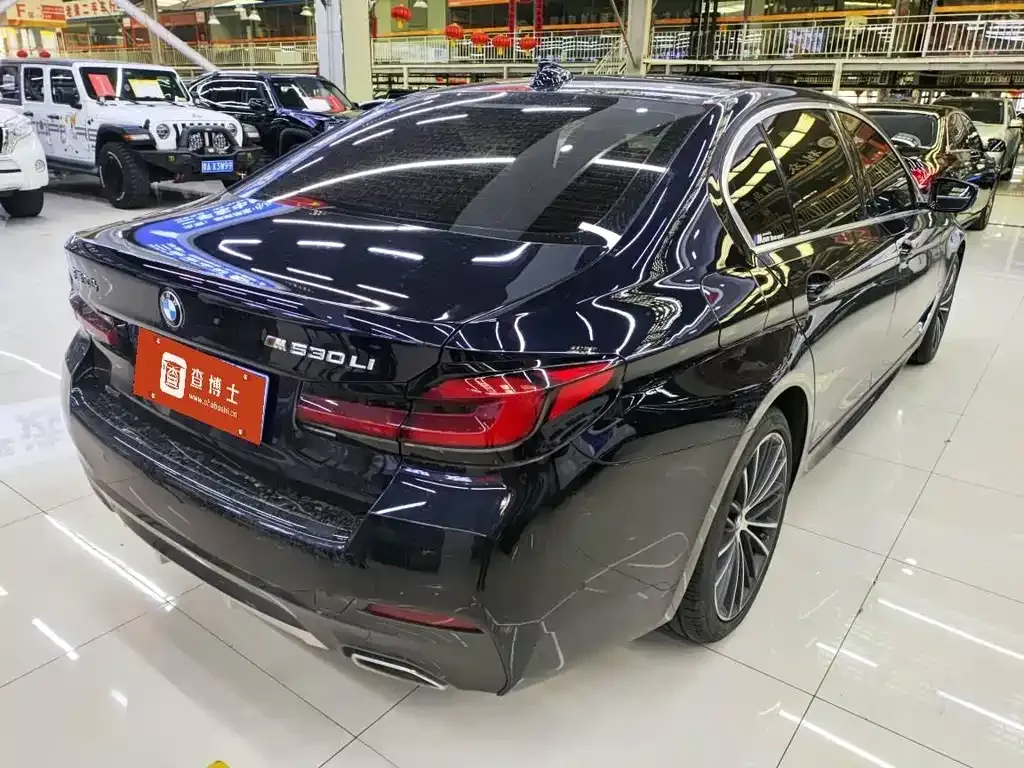 BMW 5 Series 2022 из CN, фото 2