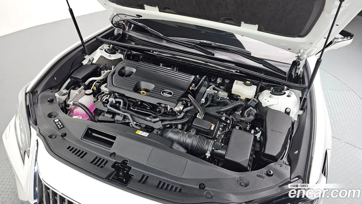 Lexus ES 2025 из KR, фото 6