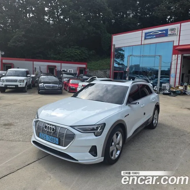 Audi e-tron 2022 из KR, фото 2