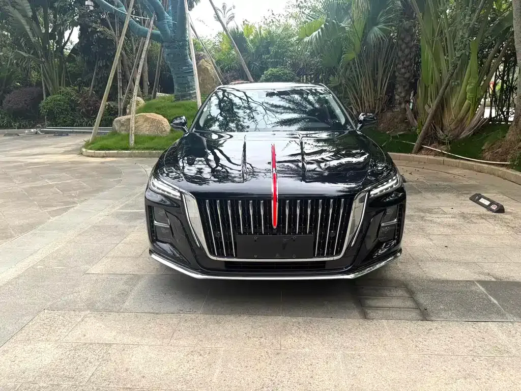 Hongqi H5 2023 из CN, фото 2
