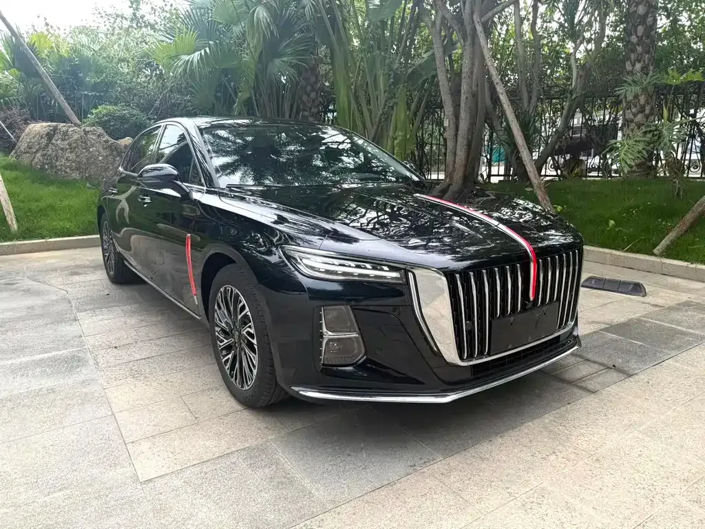 Hongqi H5 2023 из CN, фото 3