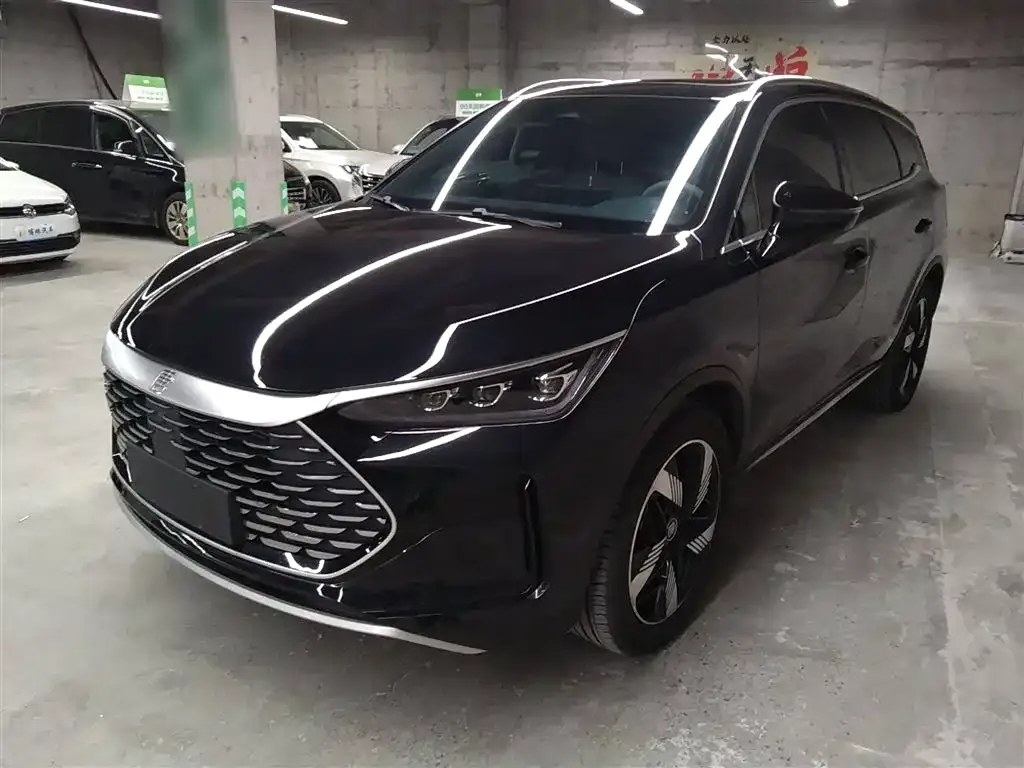 BYD Tang New Energy 2024 из CN, фото 1