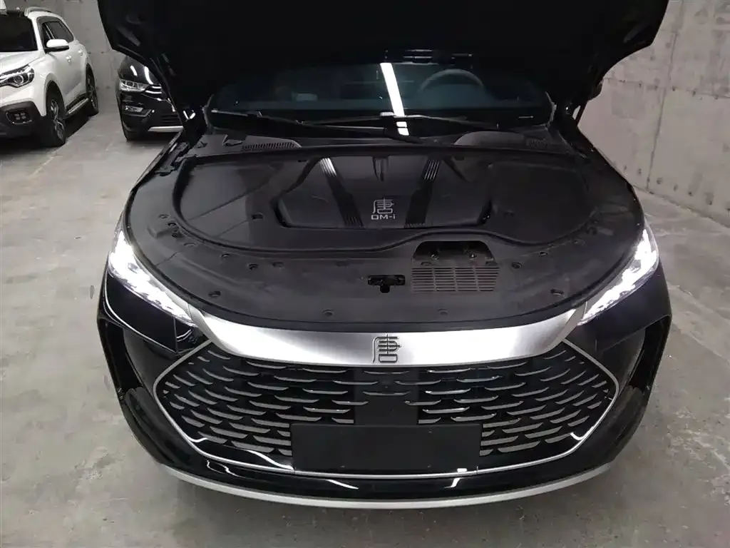 BYD Tang New Energy 2024 из CN, фото 10