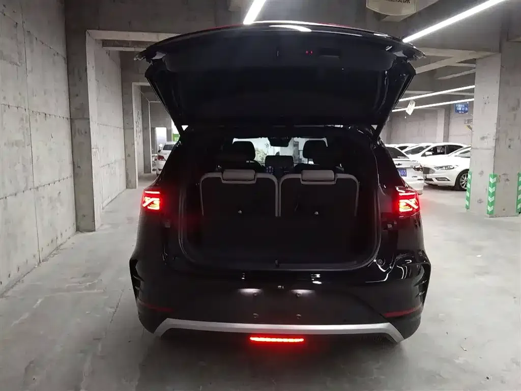 BYD Tang New Energy 2024 из CN, фото 9