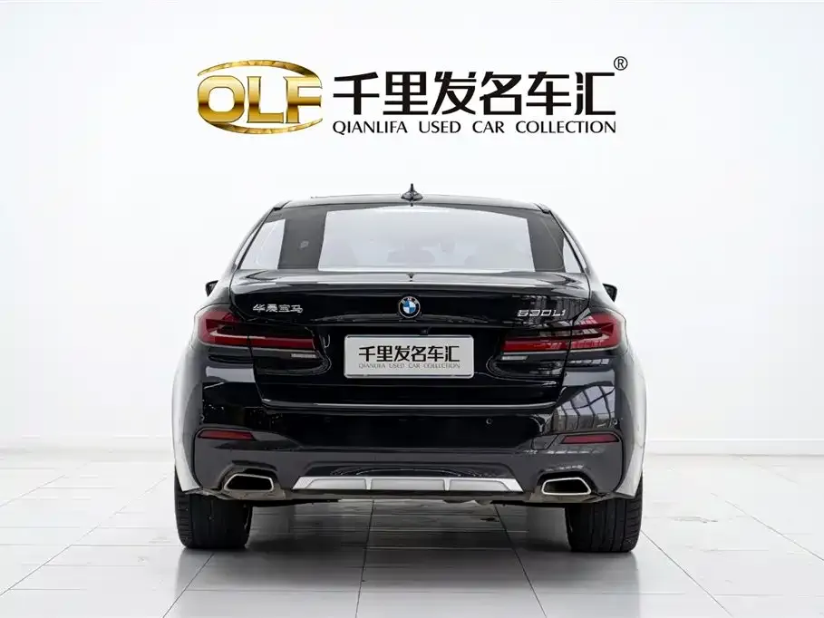 BMW 5 Series 2023 из CN, фото 6