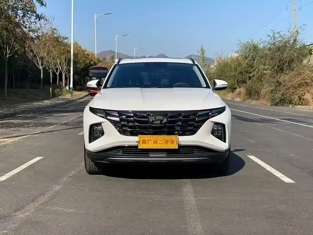 Hyundai Tucson 2024 из CN, фото 1