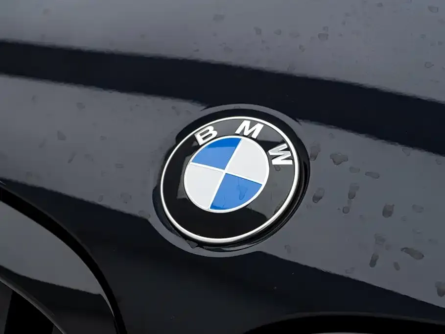 BMW X3 2023 из CN, фото 10