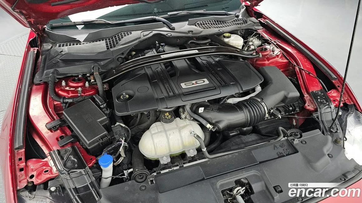 Ford Mustang 2021 из KR, фото 6