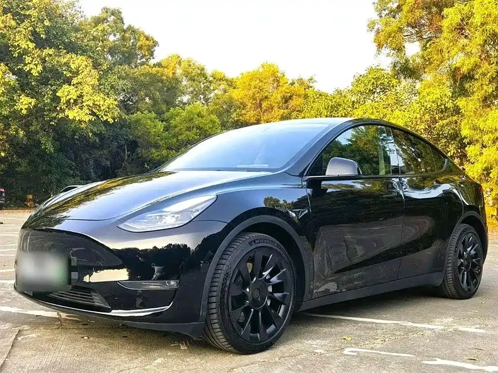 Tesla Model Y — фото 2