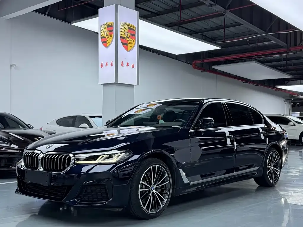 BMW 5 Series 2021 из CN, фото 1
