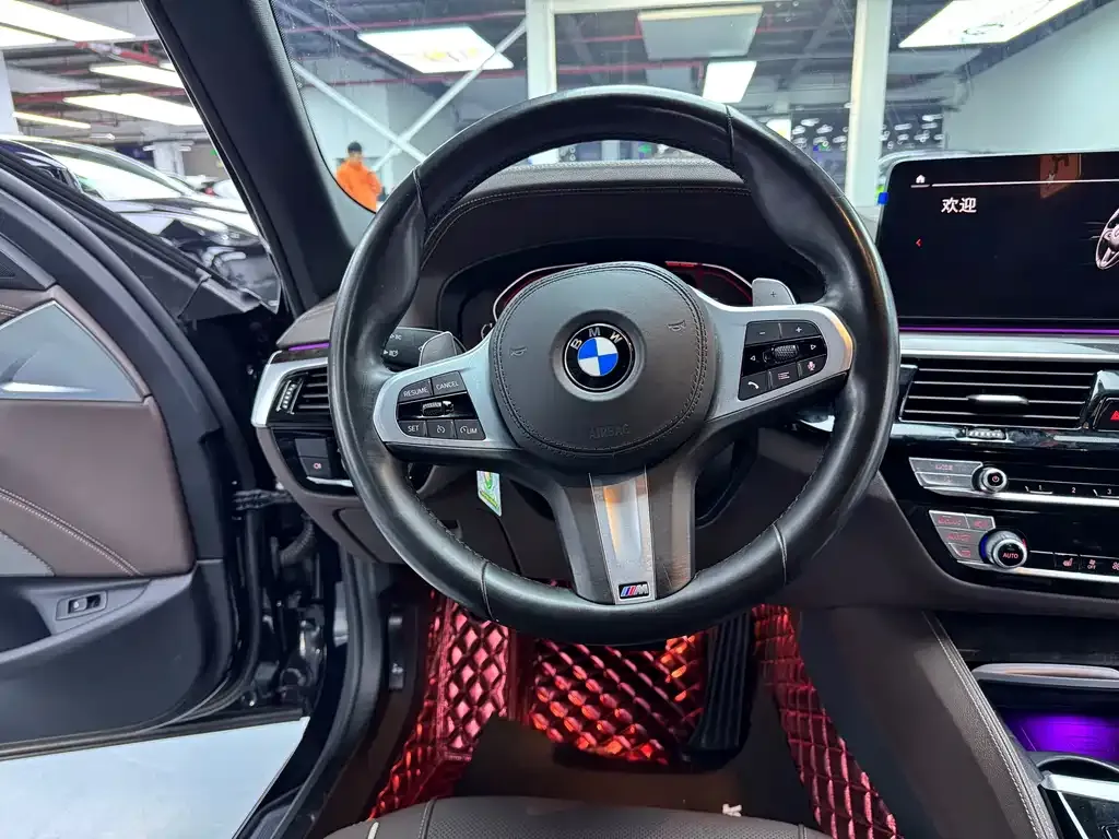 BMW 5 Series 2021 из CN, фото 10