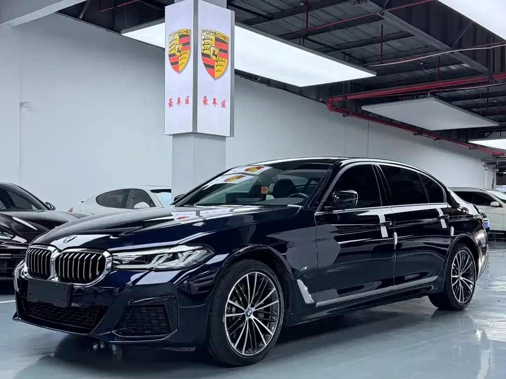BMW 5 Series 2021 из CN, фото 2