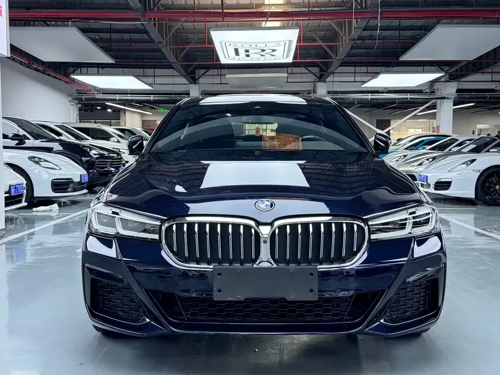 BMW 5 Series 2021 из CN, фото 3