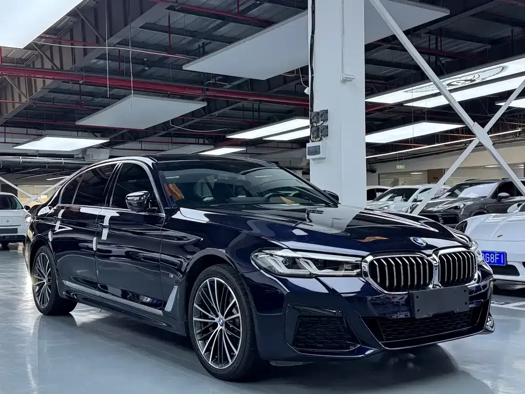BMW 5 Series 2021 из CN, фото 4