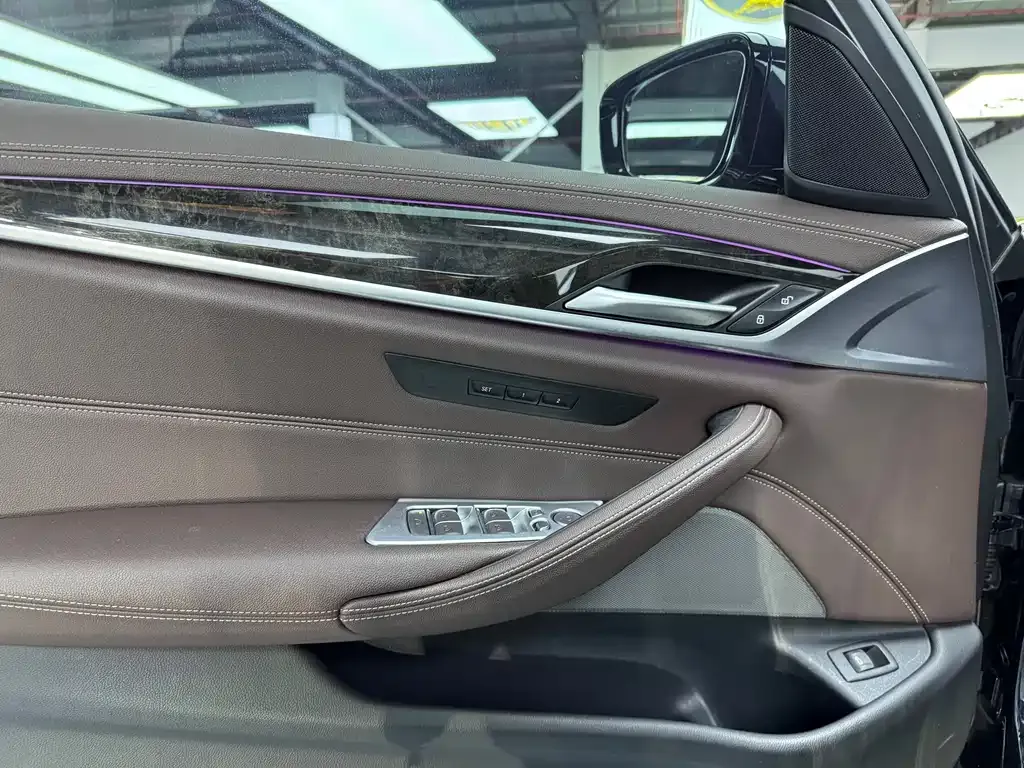 BMW 5 Series 2021 из CN, фото 5
