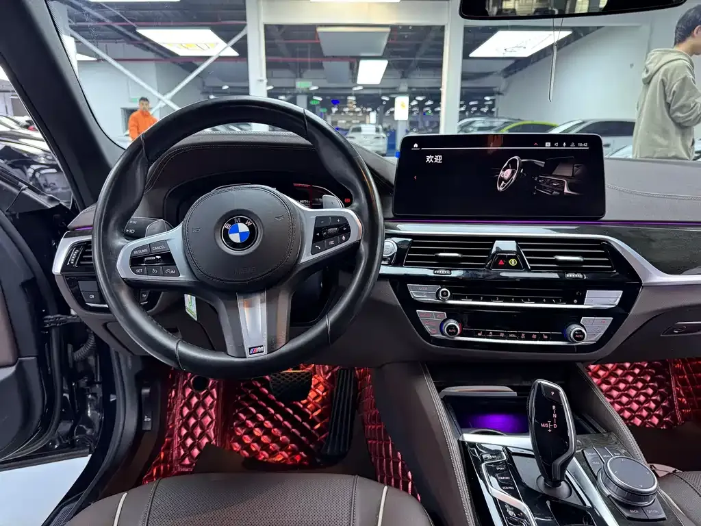BMW 5 Series 2021 из CN, фото 9
