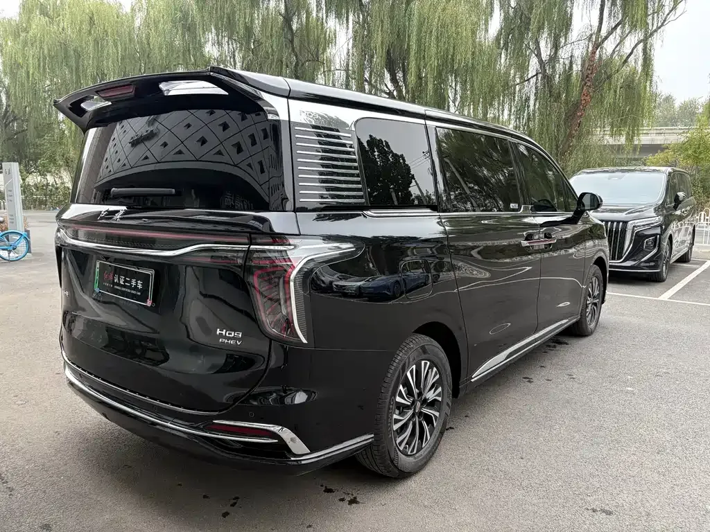 Hongqi HQ9 PHEV 2025 из CN, фото 5