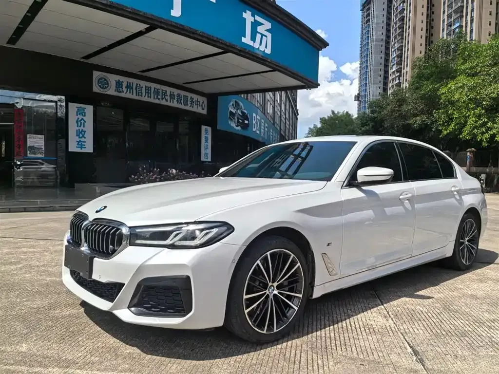 BMW 5 Series 2022 из CN, фото 1
