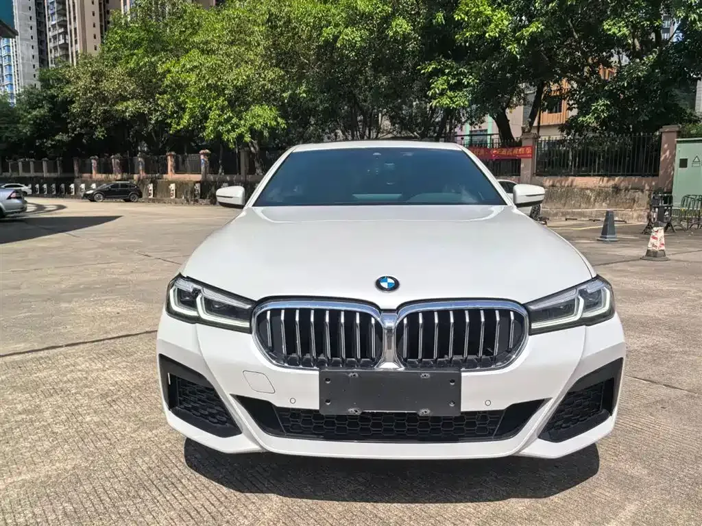 BMW 5 Series 2022 из CN, фото 2
